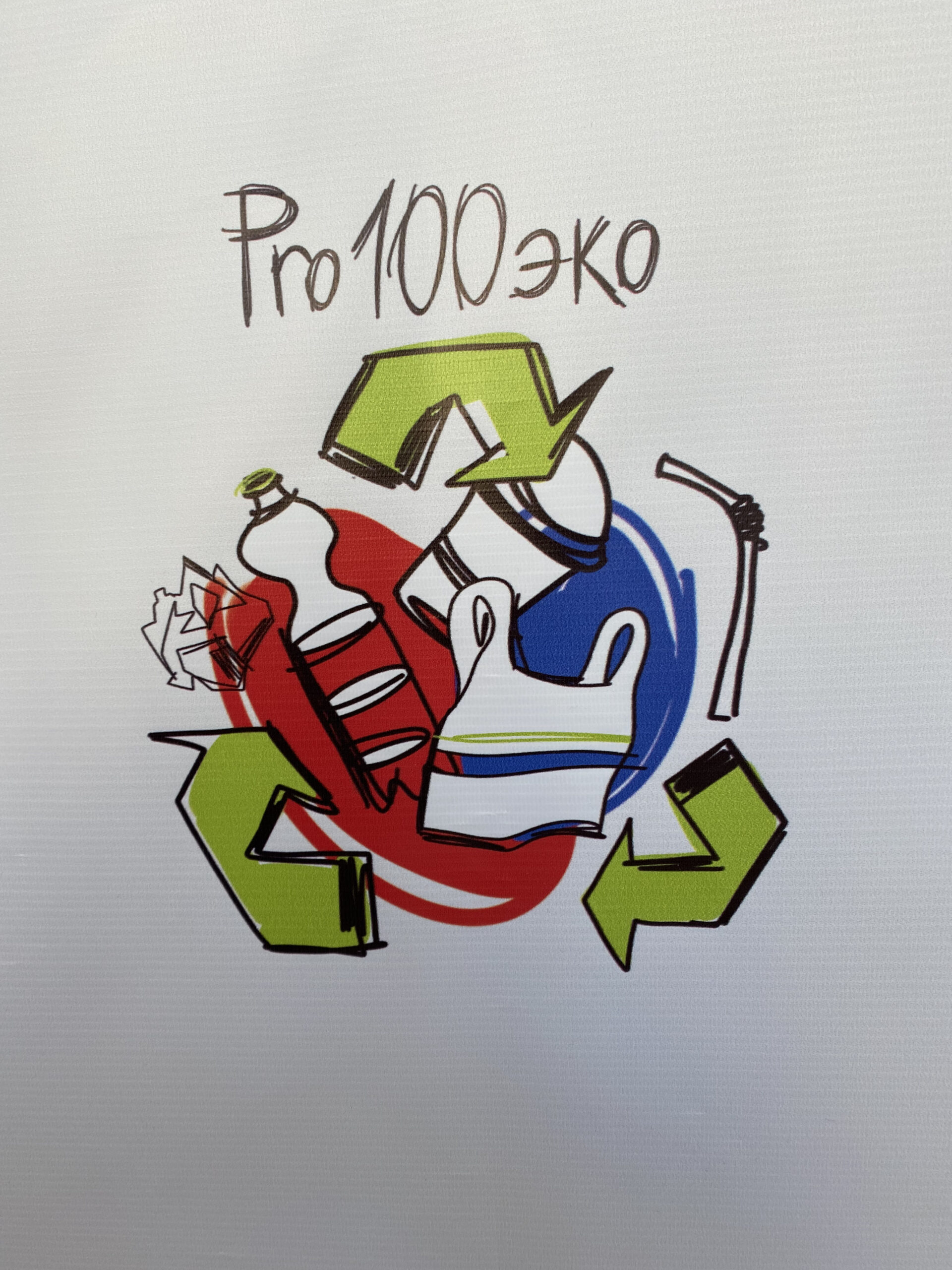 Экологическо-просветительский проект «PRO100ЭКО»