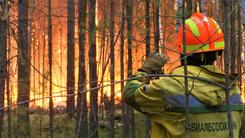 В соседнем с Югрой регионе бушуют  57 лесных пожаров