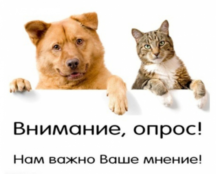 «Информирование об уходе домашними животными и качество оказания ветеринарных услуг в Югре»