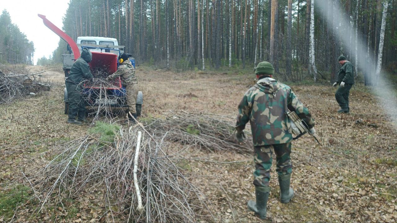 Хранители леса