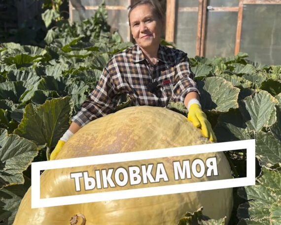 Инвестиции