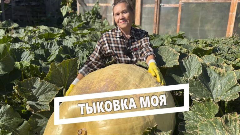События