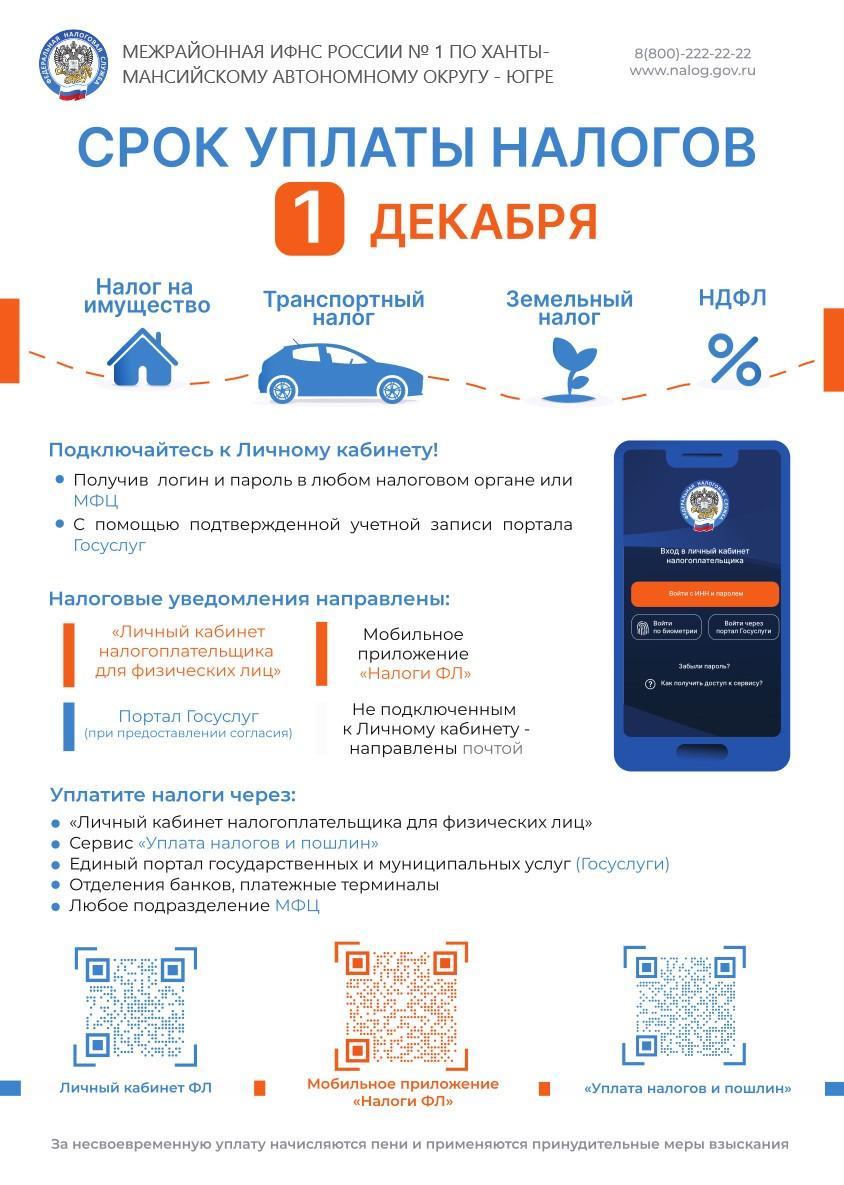 Меньше месяца остается до наступления срока уплаты налогов