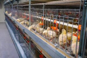 Организации Югорска