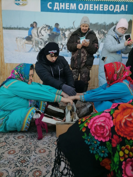 Югорчане побывали на Дне оленевода