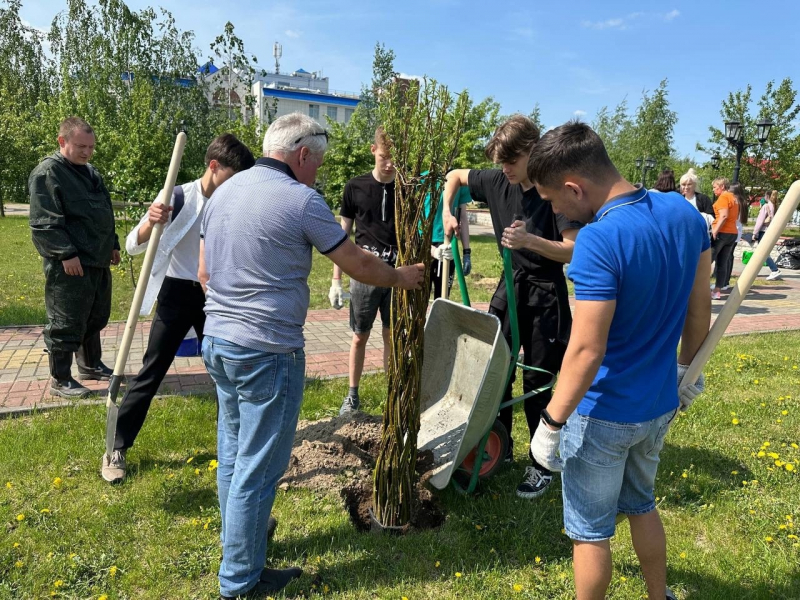 Югорчане приняли участие в эстафете высадки деревьев «Сад дружбы»