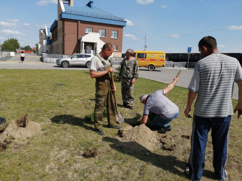 Югорчане приняли участие в эстафете высадки деревьев «Сад дружбы»