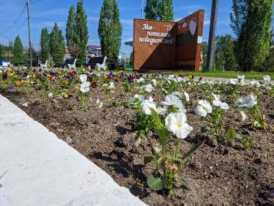 В Югорске высадили первые цветы